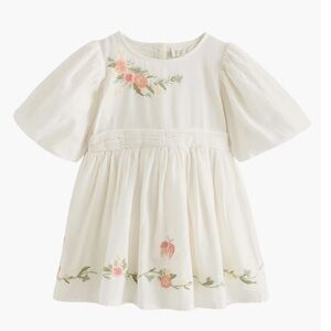 Nordstrom Puff Sleeve Embroidery Dress